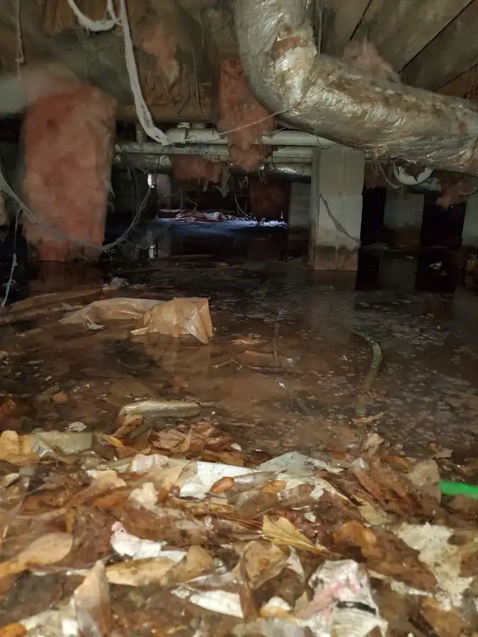 Crawl space flood assessment for Leak Detection & Repair in Holtville