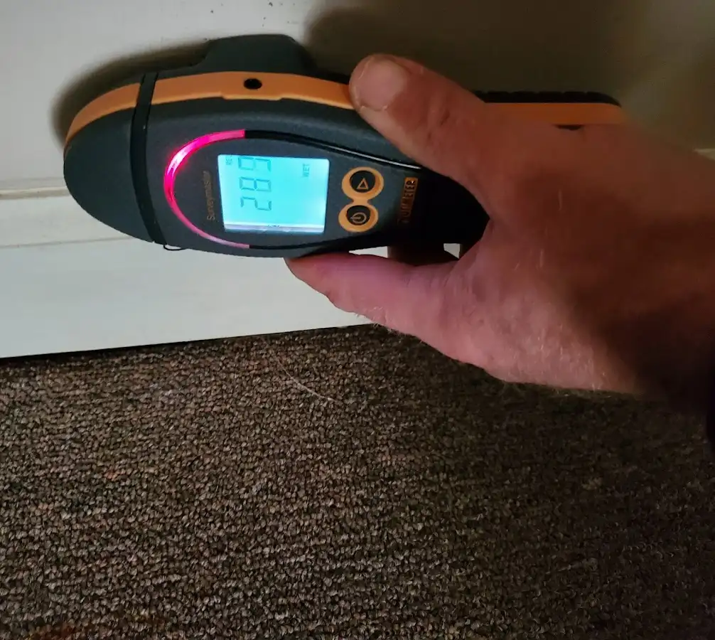 Moisture detection at baseboard during Storm Damage Restoration in Holtville